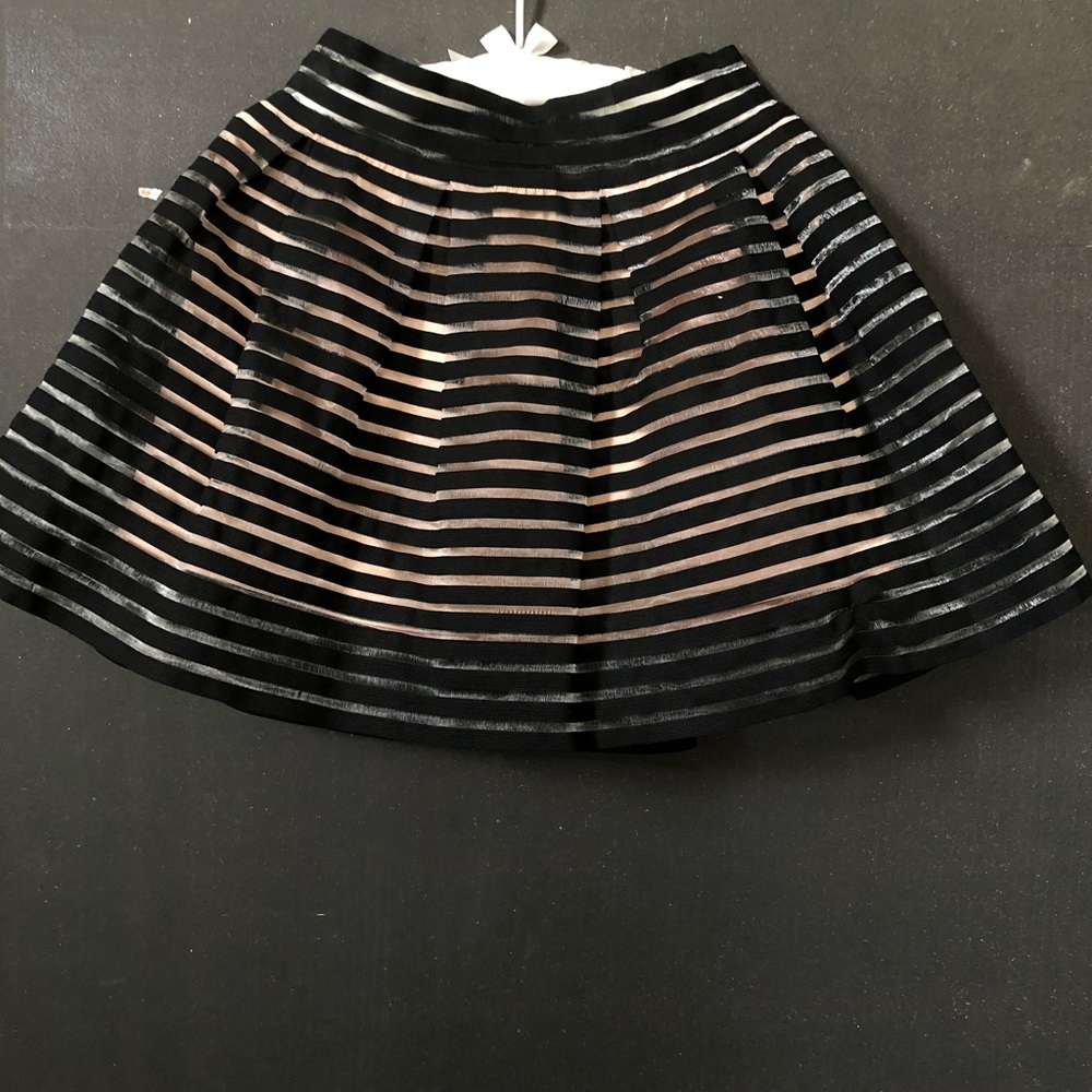 Forever 21 Striped Skater Skirt